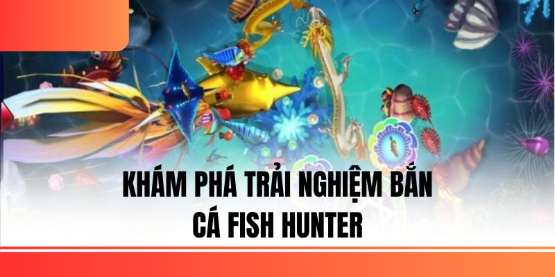 dt68 Khám phá trải nghiệm bắn cá Fish Hunter